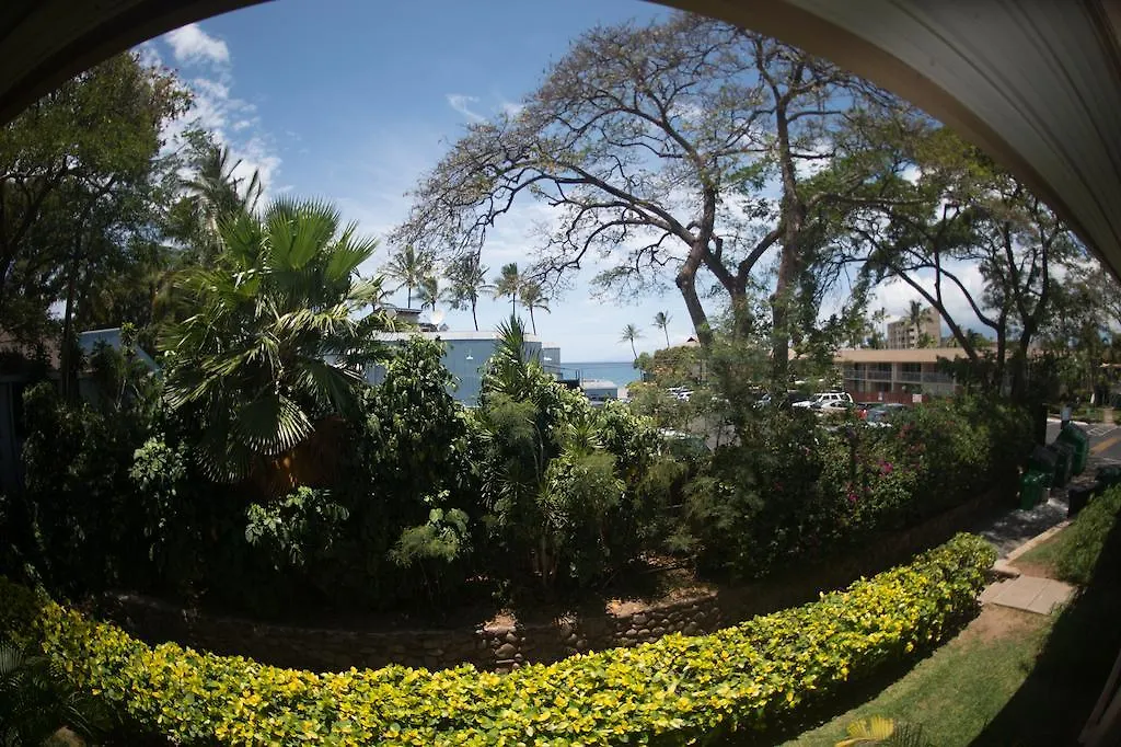 Maui Vista Apartment Kihei